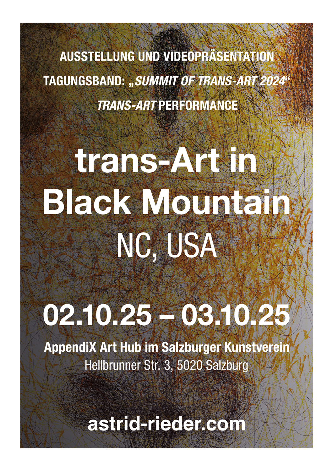 trans-Art in Black Mountain – AppendiX Art Hub - Ausstellung und Videopräsentation – Tagungsband "SUMMIT of trans-Art 2024" - trans-Art Performance