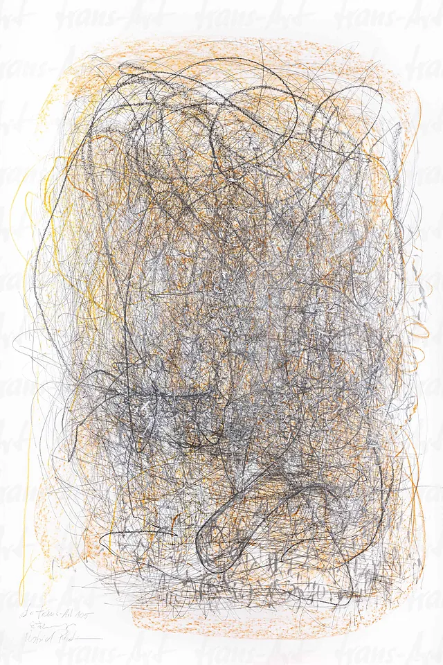 Artwork - do trans-Art Performance