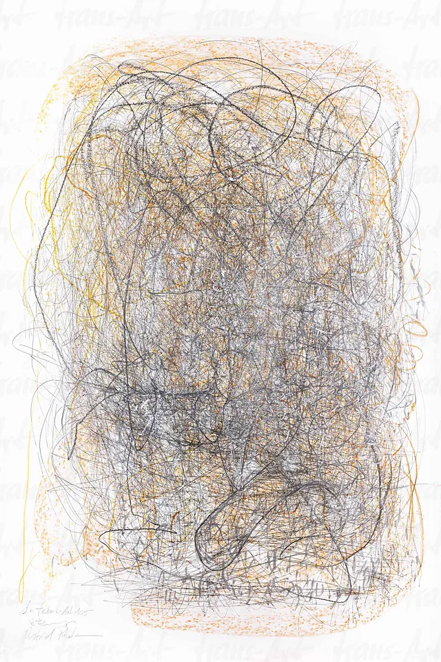 Artwork - do trans-Art Performance