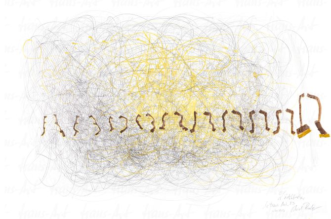 Astrid Rieder - trans-Art