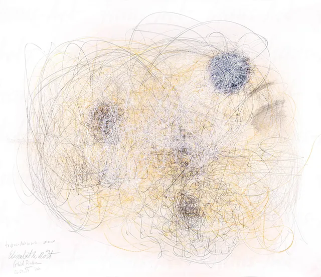 Artwork - trans-Art Performance