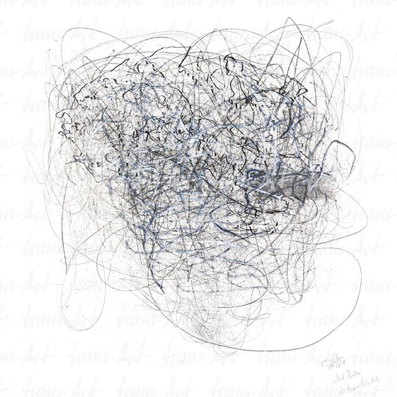 Astrid Rieder Artworks